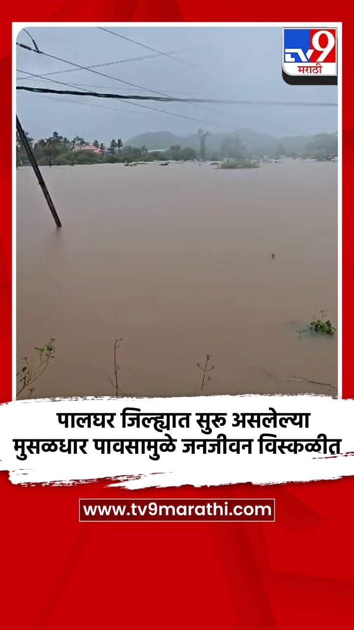पालघर जिल्ह्यात सुरू असलेल्या मुसळधार पावसामुळे जनजीवन विस्कळीत-1717934