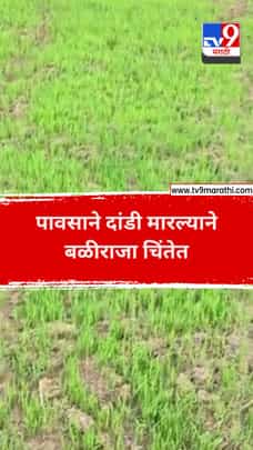 पावसाने दांडी मारल्याने बळीराजा चिंतेत-1713367