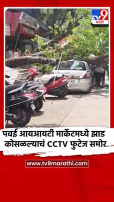पवई आयआयटी मार्केटमध्ये झाड कोसळल्याचं CCTV फुटेज समोर-1714776