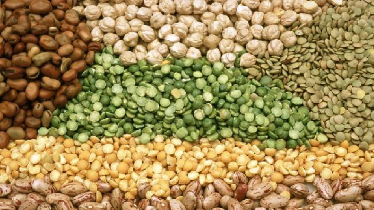 कॉफी आणि साखरेनंतर आता डाळी, दूधही महागणार? पावसाच्या लहरीपणाचा अन्नधान्यावर मोठा परिणाम कॉफी आणि साखरेनंतर आता डाळी, दूधही महागणार? पावसाच्या लहरीपणाचा अन्नधान्यावर मोठा परिणाम