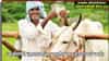 Farmer Loan Waiver: कर्जमाफी लाभार्थ्यांच्या यादीत नाव हुडकायचं कसं? जाणून घ्या एका क्लिकवर, शेतकऱ्यांसाठी महत्त्वाची अपडेट