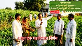 शेतकऱ्यांसाठी मोठी आनंदवार्ता! कर्जमाफीसंदर्भात मोठा दिलासा....