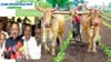 Farmer Loan Waiver: शेतकऱ्यांसाठी आनंदवार्ता! कर्जमाफीची पहिली यादी आजच धडकणार, किती वाजता जाहीर करणार? मंत्री बाबासाहेब पाटील यांची मोठी घोषणा.