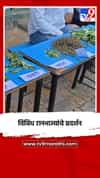 विविध रानभाज्यांचे प्रदर्शन