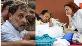 राहुल गांधी यांच्यावर भडकल्या सोनम वांगचुक यांच्या पत्नी, थेट आरोप.