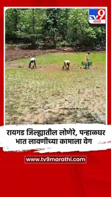 रायगड जिल्ह्यातील लोणेरे, पन्हाळघर भात लावणीच्या कामाला वेग-1720294