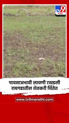 पावसाअभावी लावणी रखडली, रायगडातील शेतकरी चिंतेत-1711740