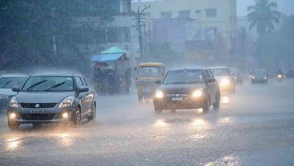 Nashik Rain Update : ढगफुटी 300 मिमी पावसाची भिती असतानाच नाशिकमध्ये पावसामुळे घडली एक सकारात्मक गोष्ट