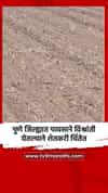 पुणे जिल्ह्यात पावसाने विश्रांती घेतल्याने शेतकरी चिंतेत