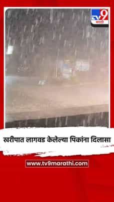 खरीपात लागवड केलेल्या पिकांना दिलासा-1712909