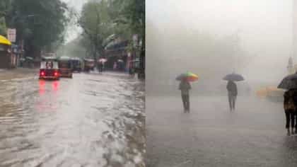 घराबाहेर पडणे टाळा, या दोन जिल्ह्यात शाळांना सुट्टी जाहीर, पुढील 8 तास