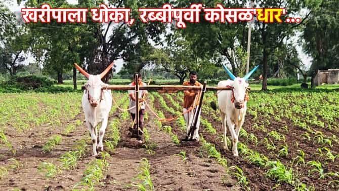 Rain Update: खरीपाला धोका, रब्बीपूर्वी कोसळधार... अल निनोचे सावट कमी होताच सप्टेंबरमध्ये पावसाचा धमाका, हवामान विभागाचा अंदाज काय?