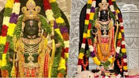 राम मंदिरात देणगी मोजणीदार म्हणून करायची नोकरी? अर्ज करणार कसा?.