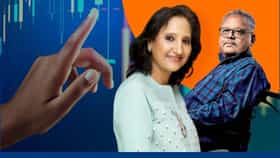 परदेशातून बंपर कंत्राट! या शेअरमध्ये तुफान, 5 वर्षांत 500 टक्के रिटर्न.