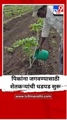 पिकांना जगवण्यासाठी शेतकऱ्यांची धडपड सुरू-1709037