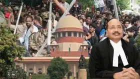 कॉकरोच जनता पार्टीला सुप्रीम कोर्टाचा सर्वात मोठा झटका, कोर्टाने....