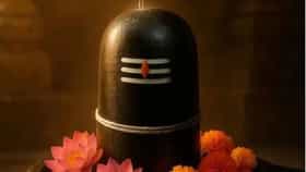 Vastu Shastra : महादेवाची पूजा करताना या चुका कधीच करू नका.