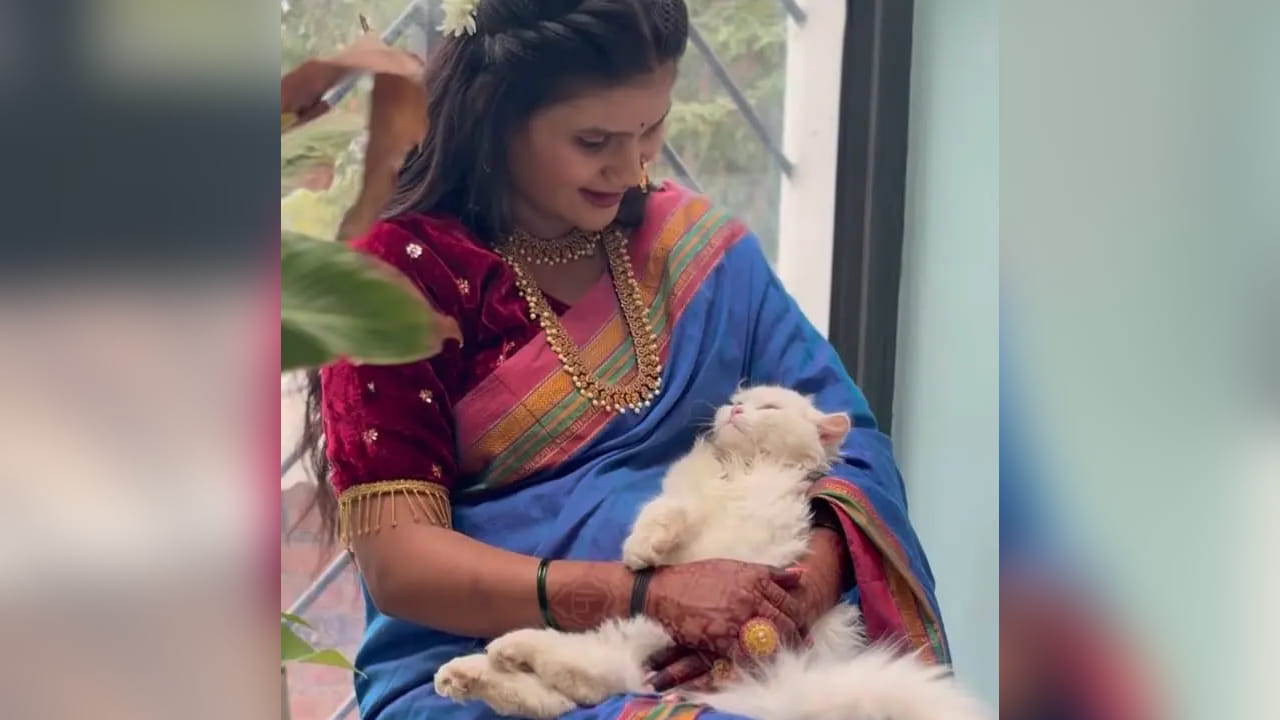 संजनाने हे फोटो सोशल मीडियावर शेअर करताच काही वेळातच ते मोठ्या प्रमाणावर व्हायरल झाले. चाहत्यांनी तिच्या सौंदर्याचे आणि पारंपरिक लूकचे भरभरून कौतुक केले आहे. अनेकांनी कमेंट्सद्वारे तिला आगामी आयुष्यासाठी शुभेच्छा दिल्या असून आई होण्याच्या या सुंदर प्रवासासाठी शुभेच्छांचा वर्षाव केला आहे.