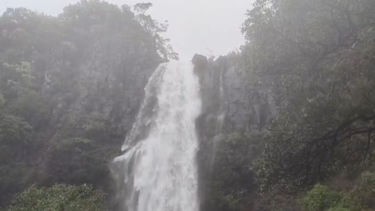 सातारा जिल्ह्यात सह्याद्रीच्या पर्वतरांगांमध्ये असलेला भारतातील सर्वात उंच भांबवली वजराई धबधबा ओसंडून वाहू लागला आहे.या धबधब्याची उंची तब्बल 1840 फूट म्हणजेच 560 मीटर आहे. या धबधब्याचे पाणी हे तीन टप्प्यात जमिनीवर पडत असून हा धबधबा सरळ उभ्या दगडावरून वाहतो. सध्या कास तलाव पूर्ण क्षमतेने भरल्यामुळे याच्या सांडव्यावरुन पडणारया पाण्यापासुन पुढे 5 किलोमीटर या धबधब्याचे विहंगम दृष्य पहायला मिळते. हा धबधबा पाहण्यासाठी पर्यटक गर्दी करू लागले आहेत.