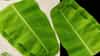 Banana Leaf: केळीच्या पानावर का असतात रेषा? त्यामागील कारण काय? जाणून घ्या...