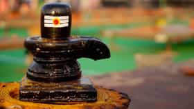 श्रावण महिन्यात पडणारी ही 4 स्वप्ने असतात अत्यंत शूभ