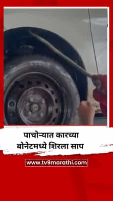 पाचोऱ्यात कारच्या बोनेमध्ये शिरला साप-1721103