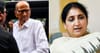 दोन्ही राष्ट्रवादीच्या विलिनीकरणाची चर्चा मुंबईत नव्हे, तर दिल्लीतच होणार, एनसीपीच्या मंत्र्याचा मोठा दावा; 29 जुलैनंतर….
