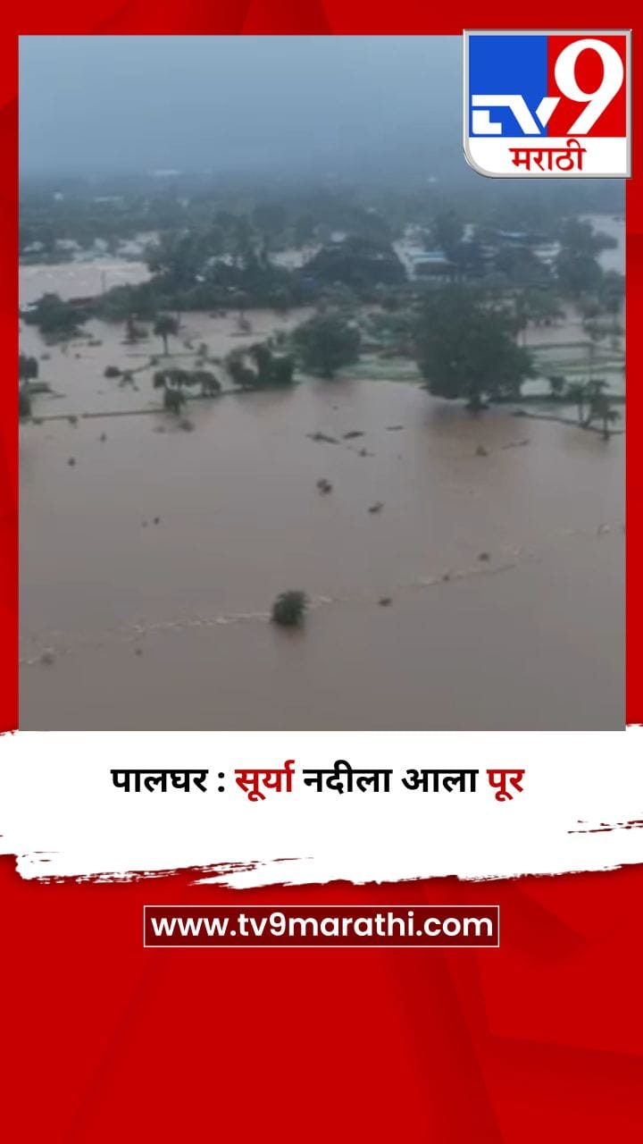 पालघर : सूर्या नदीला आला पूर-1718128