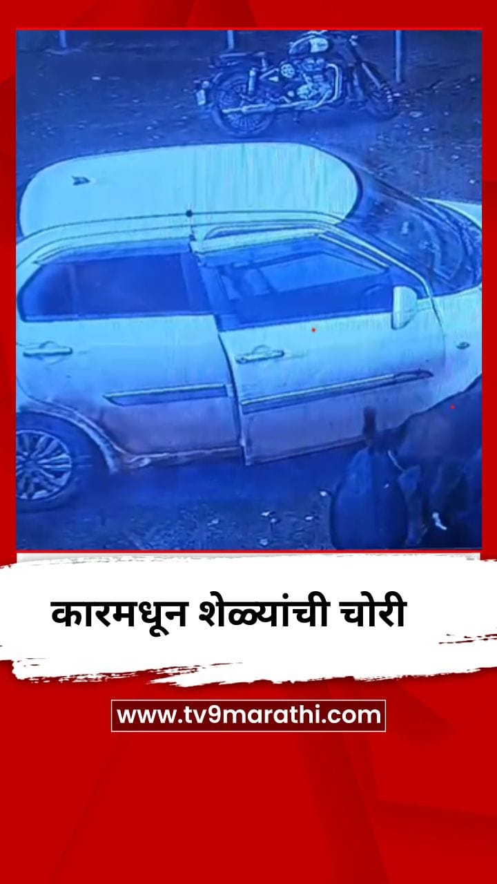 कारमधून शेळ्यांची चोरी-1721108
