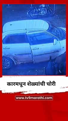 कारमधून शेळ्यांची चोरी-1721108