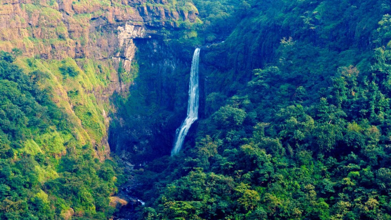 फिरायला जाणाऱ्यांनो सावधान! राज्याच्या या भागात अतिवृष्टीचा इशारा, अनेक पर्यटनस्थळे बंद फिरायला जाणाऱ्यांनो सावधान! राज्याच्या या भागात अतिवृष्टीचा इशारा, अनेक पर्यटनस्थळे बंद