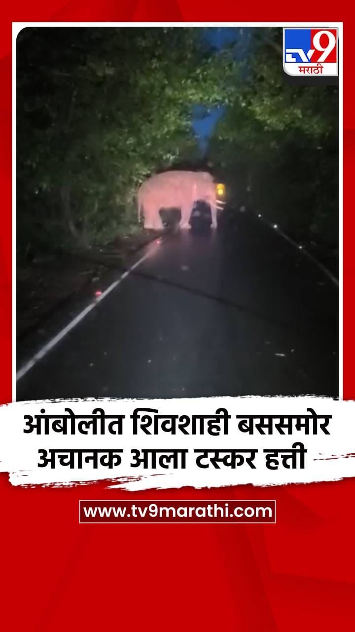 आंबोलीत शिवशाही बससमोर अचानक आला टस्कर हत्ती-1721120
