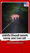 आंबोलीत शिवशाही बससमोर अचानक आला टस्कर हत्ती