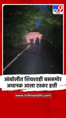 आंबोलीत शिवशाही बससमोर अचानक आला टस्कर हत्ती-1721120