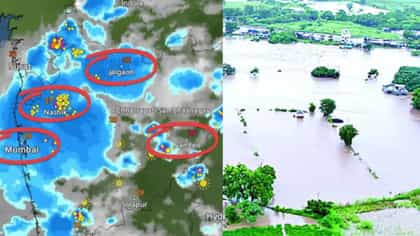 राज्यात धो धो पाऊस, नाशिक, पालघरमध्ये पावसाचा हाहाकार! पाऊस अधिक..