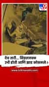 पुण्यातील शिलाई वर्ल्ड चौकात मुलीवर झाड कोसळले, थरारक व्हिडिओ