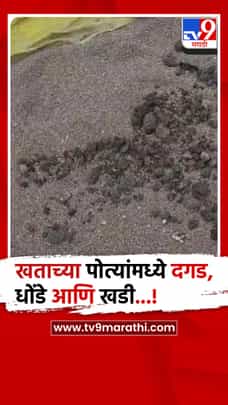 Latur : बोगस बियाणानंतर आता बोगस खते, शेतकऱ्याने ऑन कॅमेरा फोडले पोते निघाले दगड,गोटे...-1709440