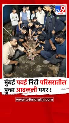 मुंबई पवई निटी परिसरातील पुन्हा आढळली मगर, वनविभागाने केली सुटका..-1711354