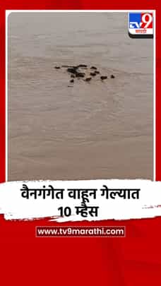 वैनगंगेत वाहून गेल्यात 10 म्हैस-1705674