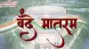 'वंदे मातरम्'चा अपमान केल्यास थेट तुरुंगवास, सरकार आणणार कठोर कायदा