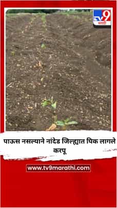 पाऊस नसल्याने नांदेड जिल्ह्यात पिक लागले करपू-1716438