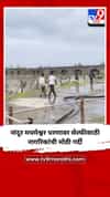 नांदूर मधमेश्वर धरणावर सेल्फीसाठी नागरिकांची मोठी गर्दी