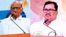 शरद पवारांची राष्ट्रवादी NDA सोबत सत्तेत? वडेट्टीवारांचे सूचक वक्तव्य.