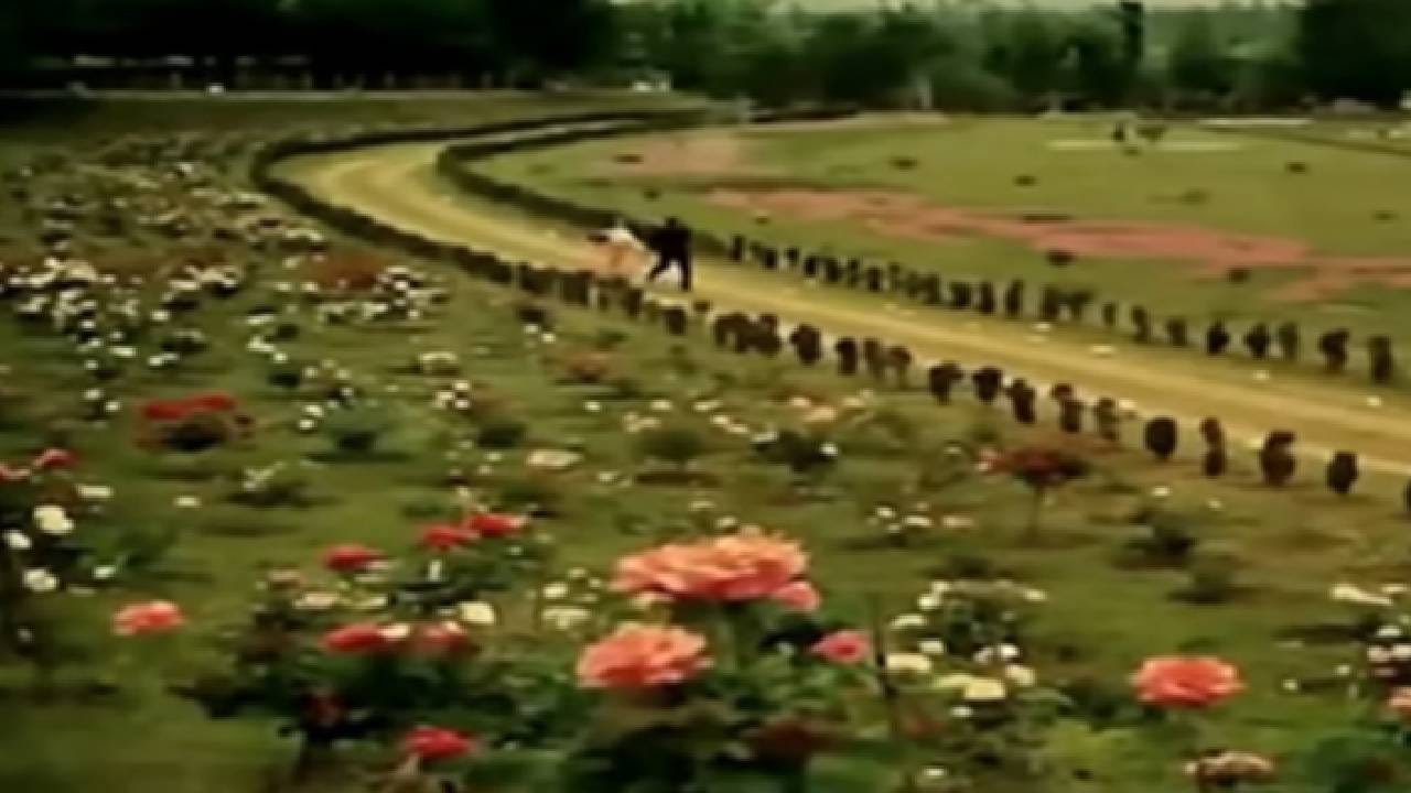 ही ७० च्या दशकातील गोष्ट आहे. त्या काळात बॉलिवूडमध्ये प्रचंड बदल होत होते. रोमान्सच्या जागी अॅक्शन चित्रपटांचा काळ सुरू झाला होता. दुसरीकडे किशोर कुमारची गाणी सातत्याने हिट होत होती. अशा परिस्थितीत अनेक लोकांना वाटू लागले होते की चित्रपटातील गाणी किशोर कुमार यांनी गायली तरच ते लोकांना आवडेल. याच कारणाने मोहम्मद रफींसाठीही कठीण काळ सुरू झाला होता.