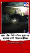 समुद्रपूर तालुक्यातील रासा घोंसा येथे रात्रीच्या सुमारास अस्वल आणि पिल्लाचा ठिय्या
