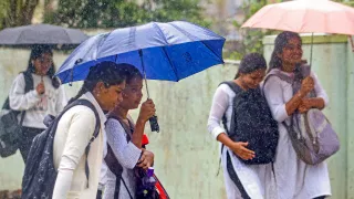 IMD कडून अतिवृष्टीचा इशारा, या जिल्ह्यातील शाळा उद्या बंद, जिल्हाधिकाऱ्यांचे आदेश