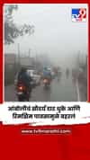 आंबोलीचं सौदर्य दाट धुके आणि रिमझिम पावसामुळे बहरलं