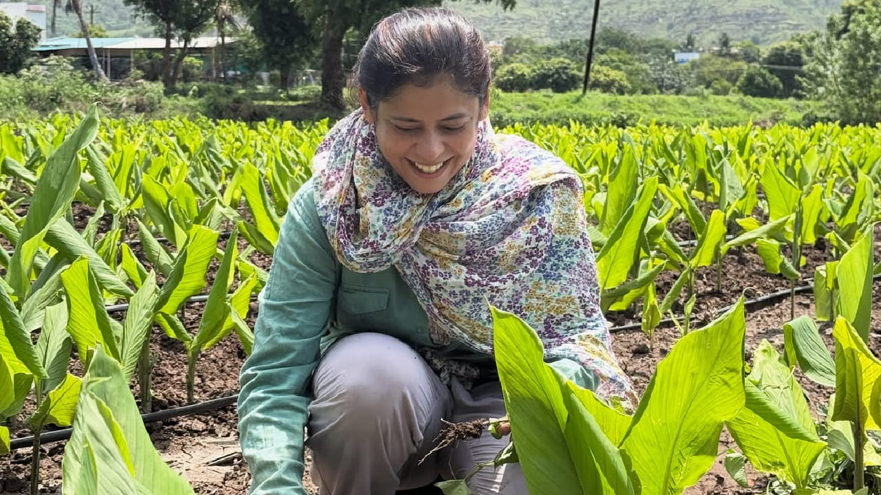 'आई कुठे काय करते' या लोकप्रिय मालिकेतून घराघरात पोहोचलेली अभिनेत्री अश्विनी महांगडे मालिका संपल्यानंतरही चाहत्यांच्या कायम संपर्कात आहे. अभिनयासोबतच ती आपल्या मातीतल्या नात्यामुळे आणि शेतीप्रती असलेल्या जिव्हाळ्यामुळे सोशल मीडियावर नेहमीच चर्चेत असते.
