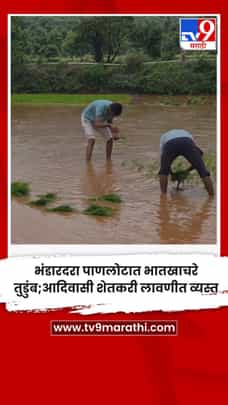 भंडारदरा पाणलोटात भातखाचरे तुडुंब; आदिवासी शेतकरी लावणीत व्यस्त-1711171