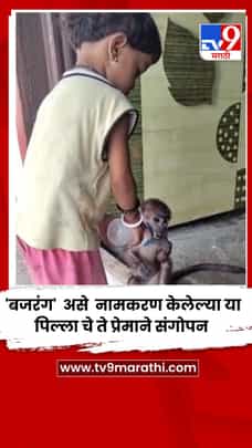 आ ‘बजरंग’ माकड झालं ठाकरे कुटुंबाचा लाडका सदस्य-1708503